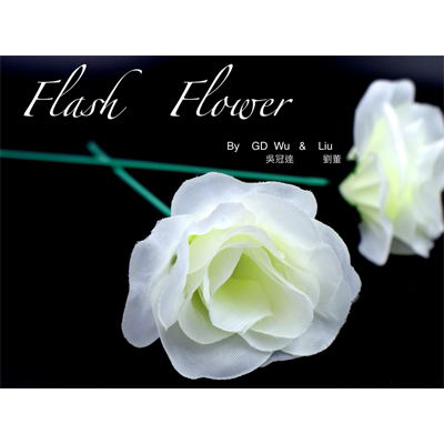 White Flash Flower (2pk.) - by GD Wu & GT magicstore - Trick